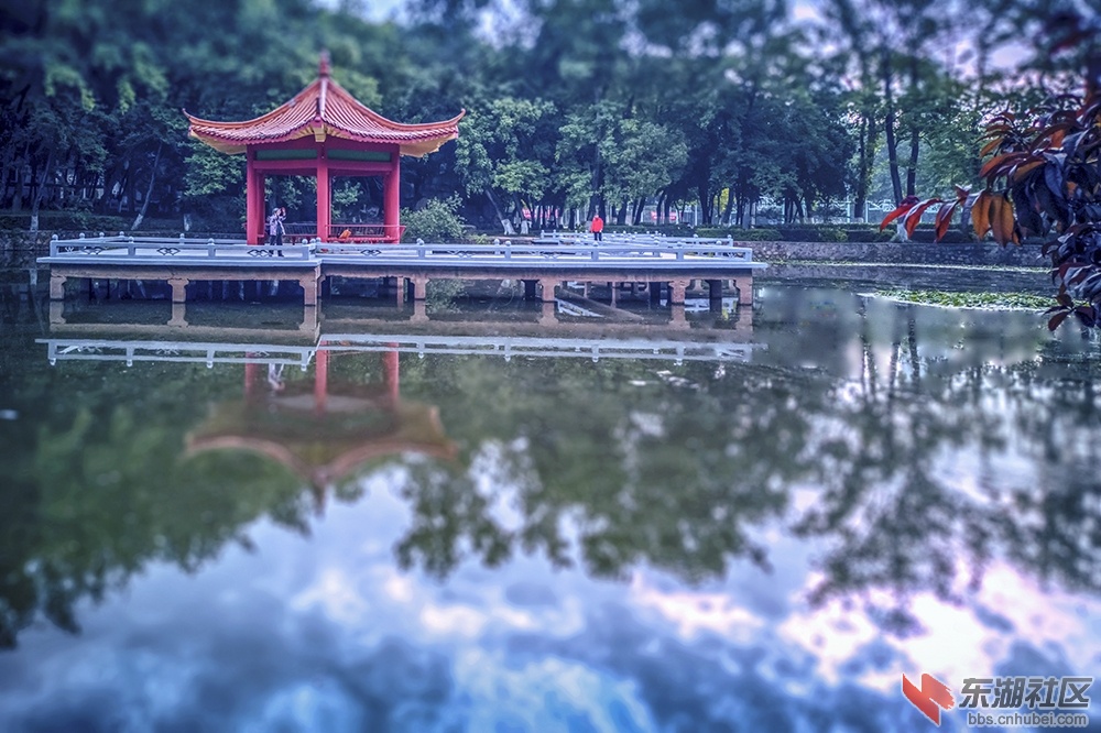 晨练曾院平摄影.jpg