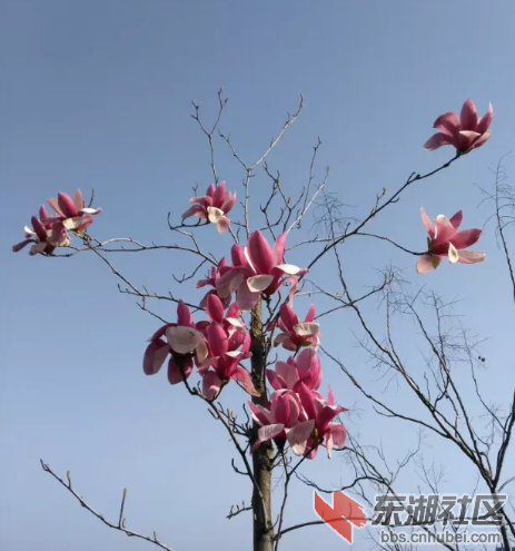 微信图片_20200515225007.png