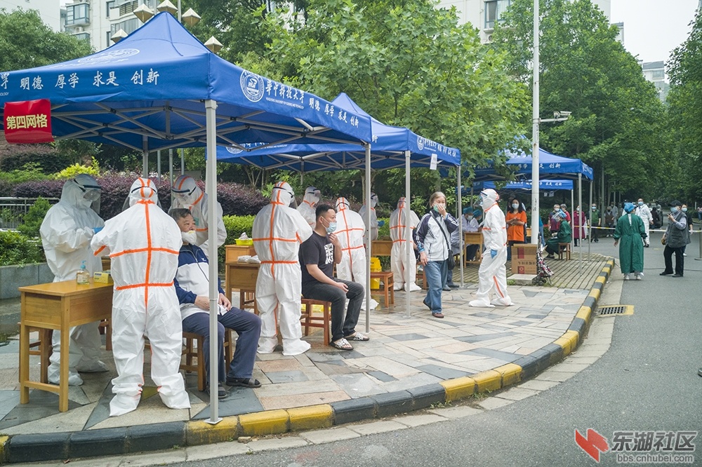 华中科技大学启动校园小区核酸检测纪实5.jpg