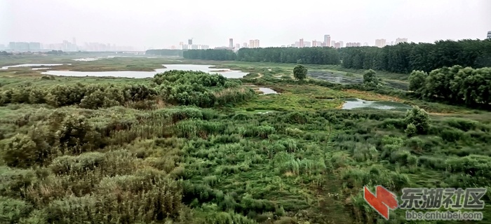 IMG_20200518_063835_副本.jpg