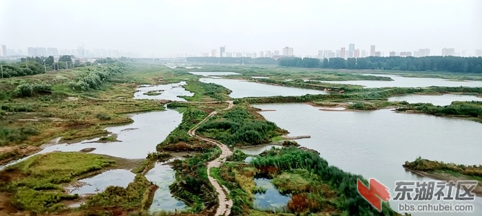 IMG_20200518_065853_副本.jpg