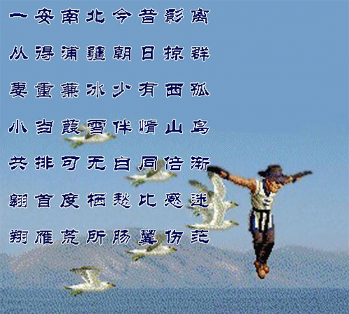 雁.gif