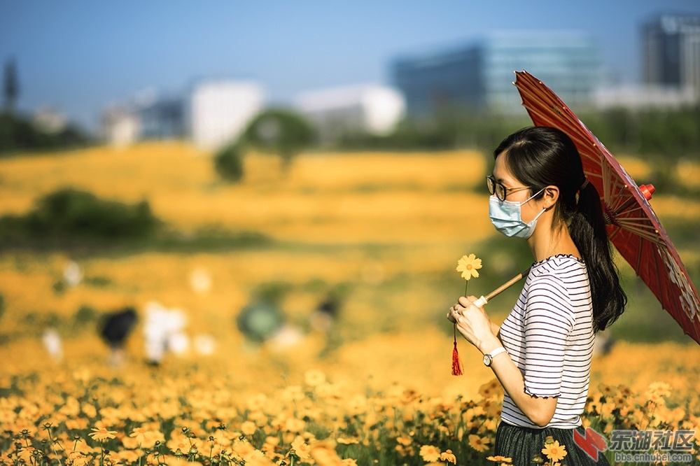 战地黄花分外香 曾院平摄影1.jpg