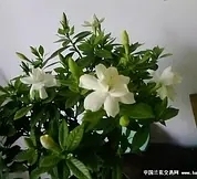 p178544998.webp.jpg
