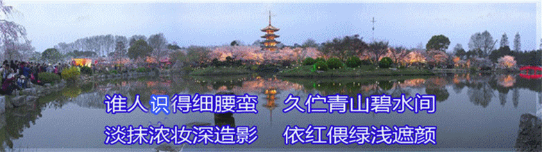 东湖副本.gif