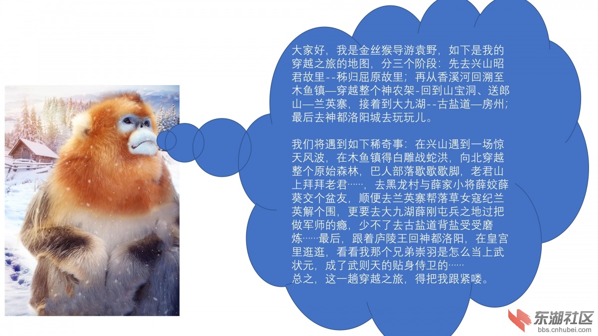 金丝猴之旅.jpg