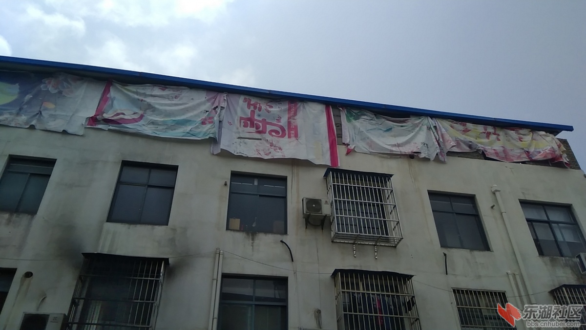 第三次违建
