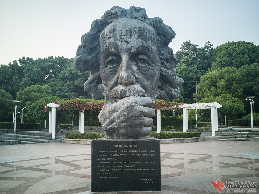 凌霄花16.jpg