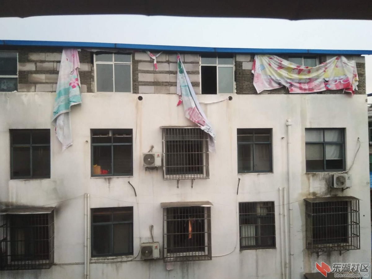 违建基本成功