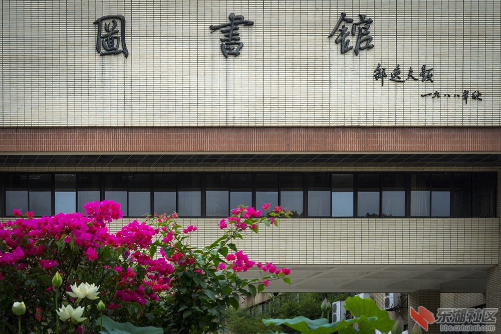 1.荷花装扮校园美曾院平摄影.jpg