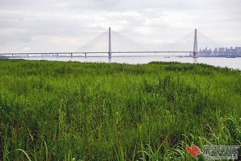 8     DSC07553_副本.jpg