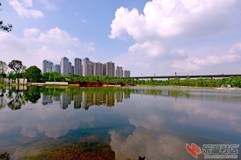 DSC_2104_副本.jpg