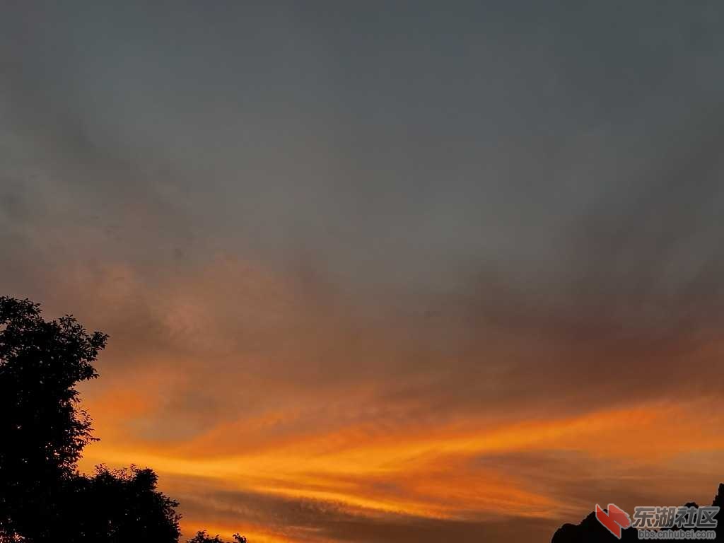 IMG_20200618_195326.jpg