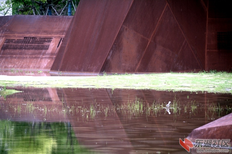 DSC_2737.JPG