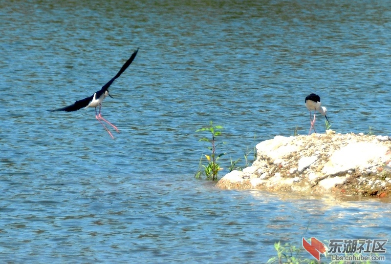 DSC_1904.JPG