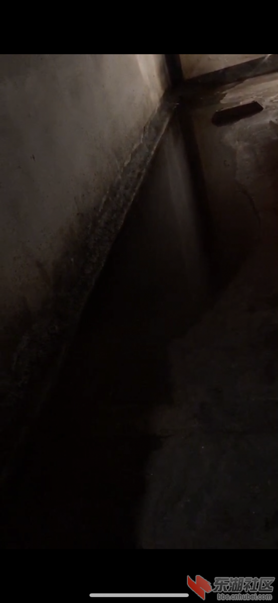 F6498486-337E-4289-A5B2-E0936ECFFCB8.png