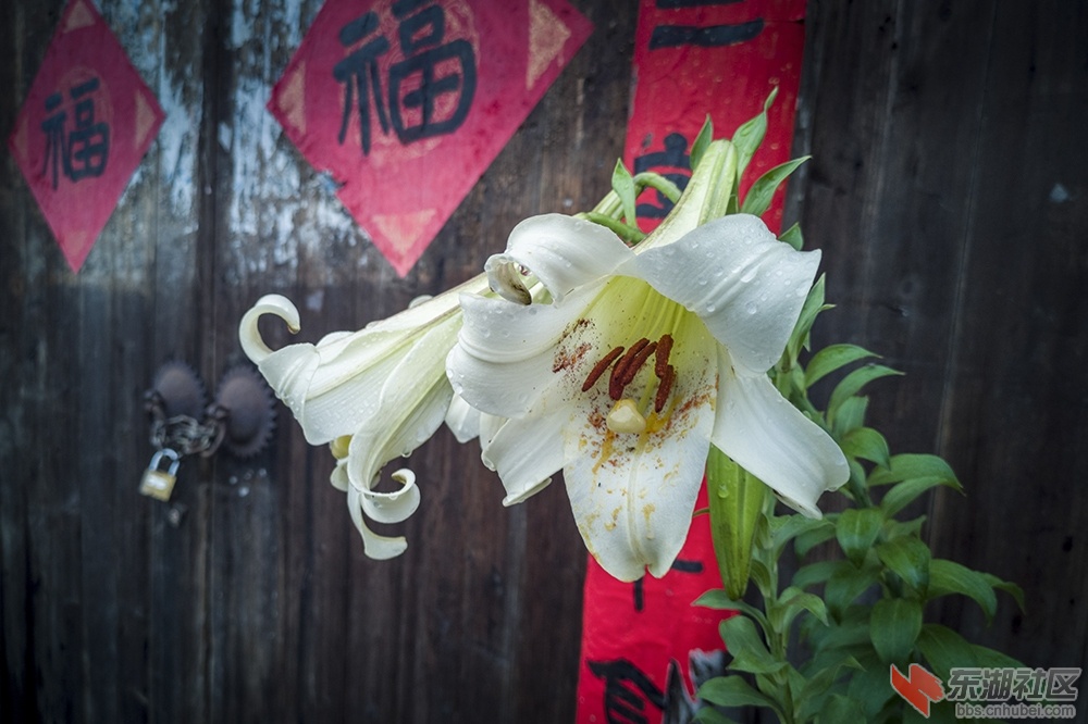 福门曾院平摄影.jpg