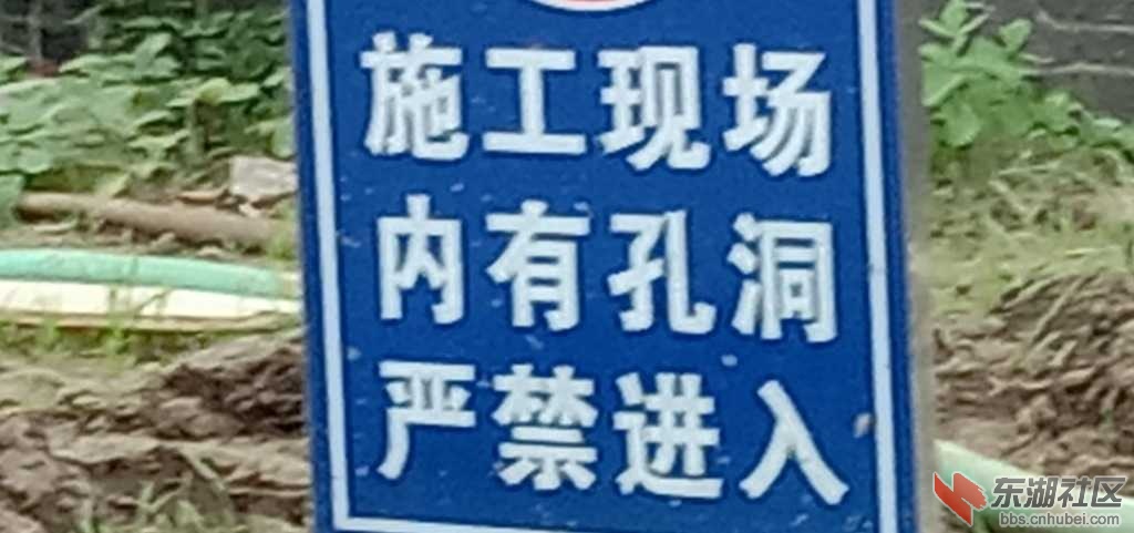 IMG_20200627_155110.jpg