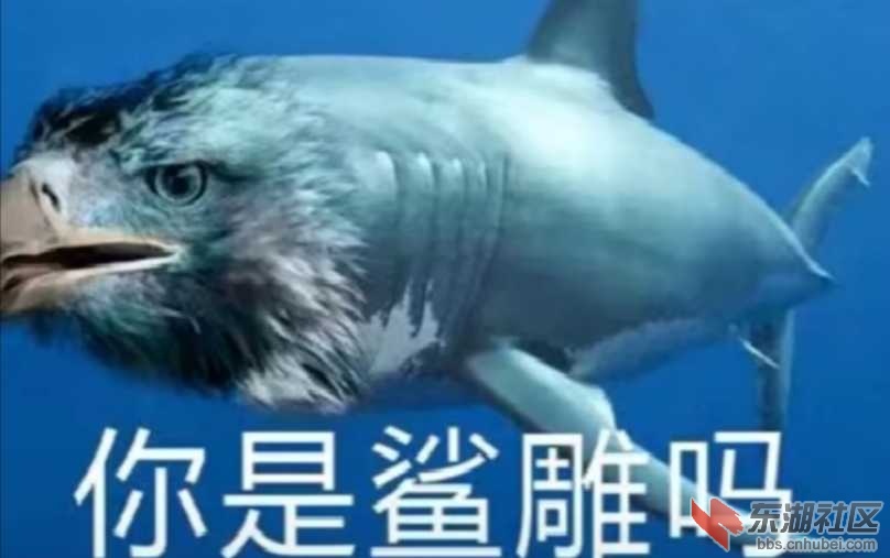 Screenshot_20200630_144209.jpg