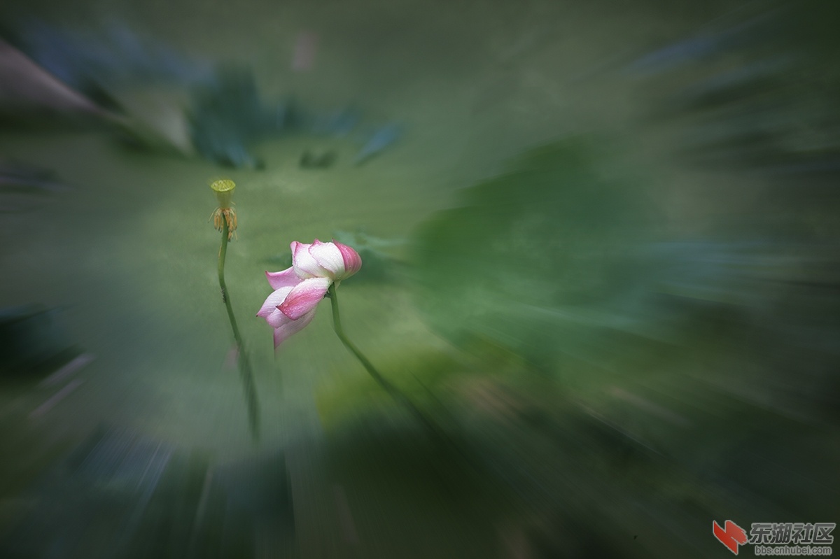 时光荏苒，岁月如梭.jpg