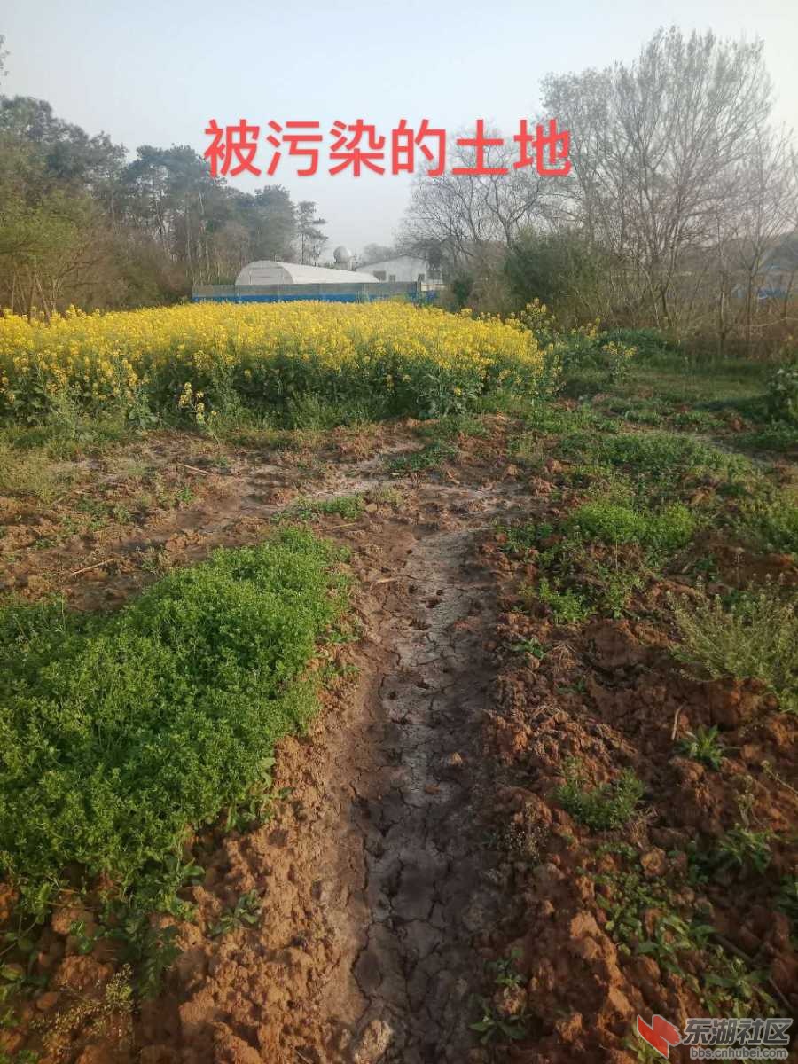 mmexport1590929015093.jpg