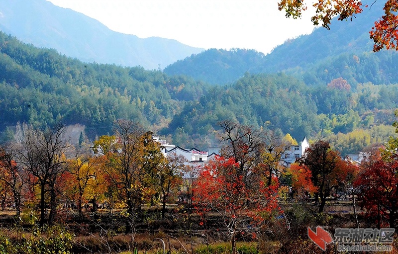 11   1A0v1a0000019ekkt2CB2_副本.jpg