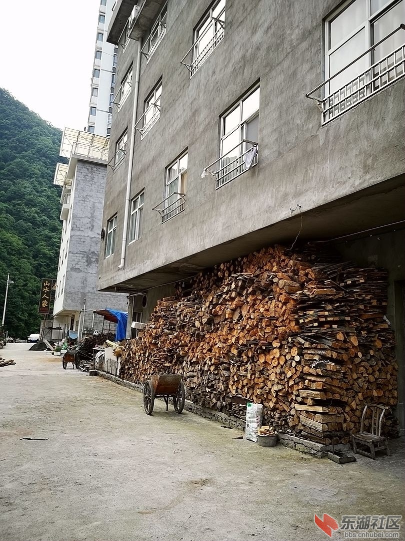 23、这么多木材是以砍树为代价的 - 副本.jpg