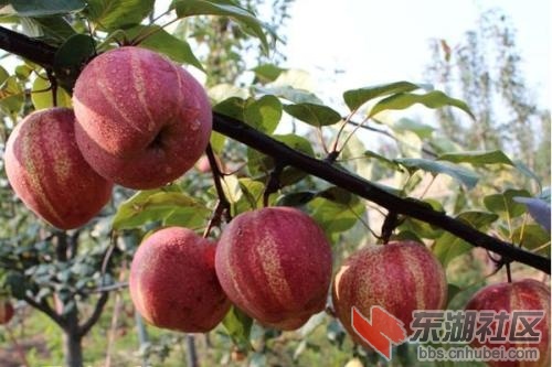 下载.jpg