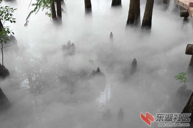 DSC_3896 - 副本.JPG