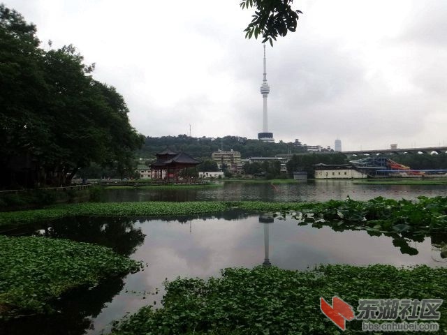 2020年7月13日莲花湖畔听歌声 001.JPG