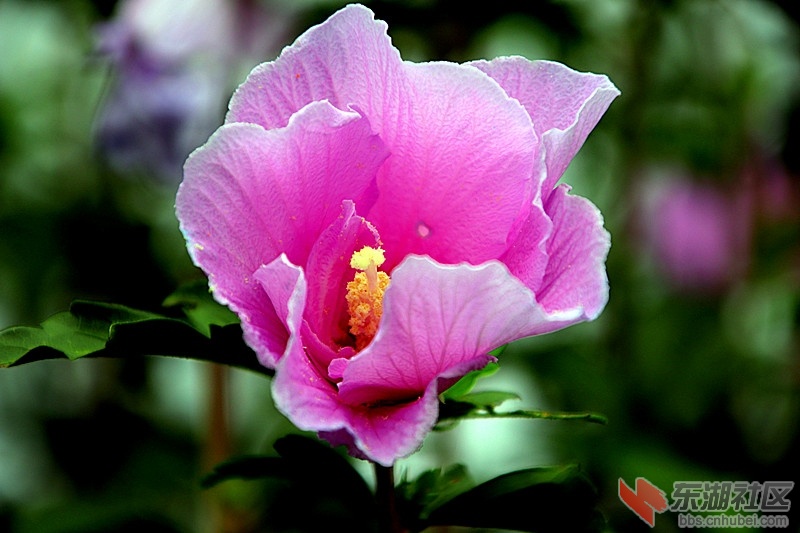 105514vpxxp22ttp2fp130.jpg