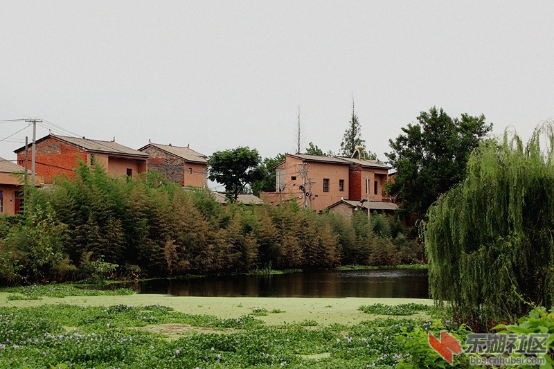 105518bz688wbzbxulb8lw.jpg