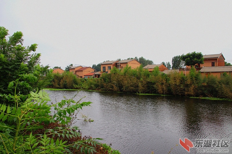 105806d22odq2h6x2jrk2k.jpg