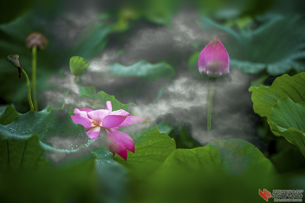 1.风雨中见精神曾院平摄影.jpg
