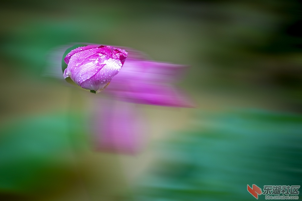 2.疾风迅雨曾院平摄影.jpg