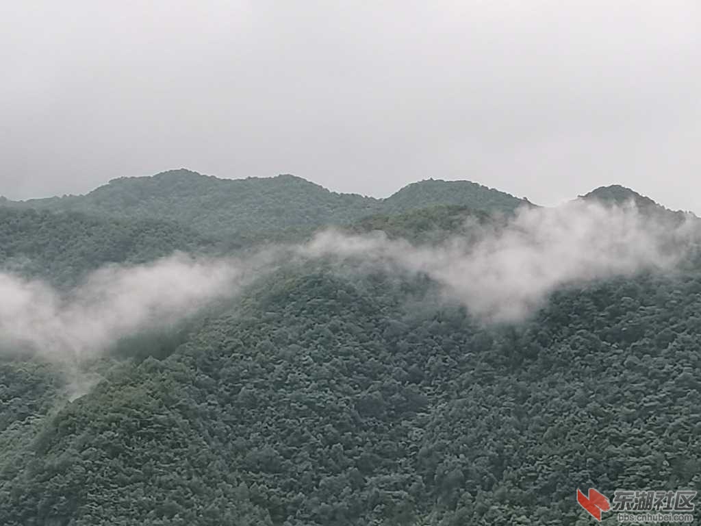 IMG_20200719_085236.jpg