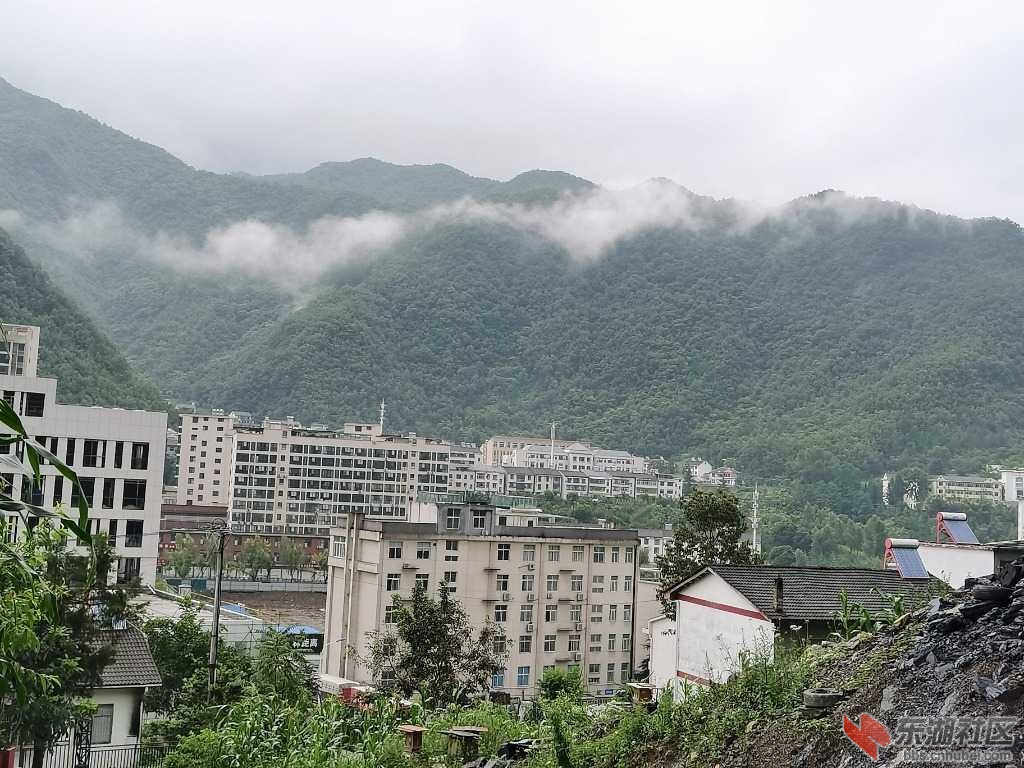 IMG_20200719_085253.jpg