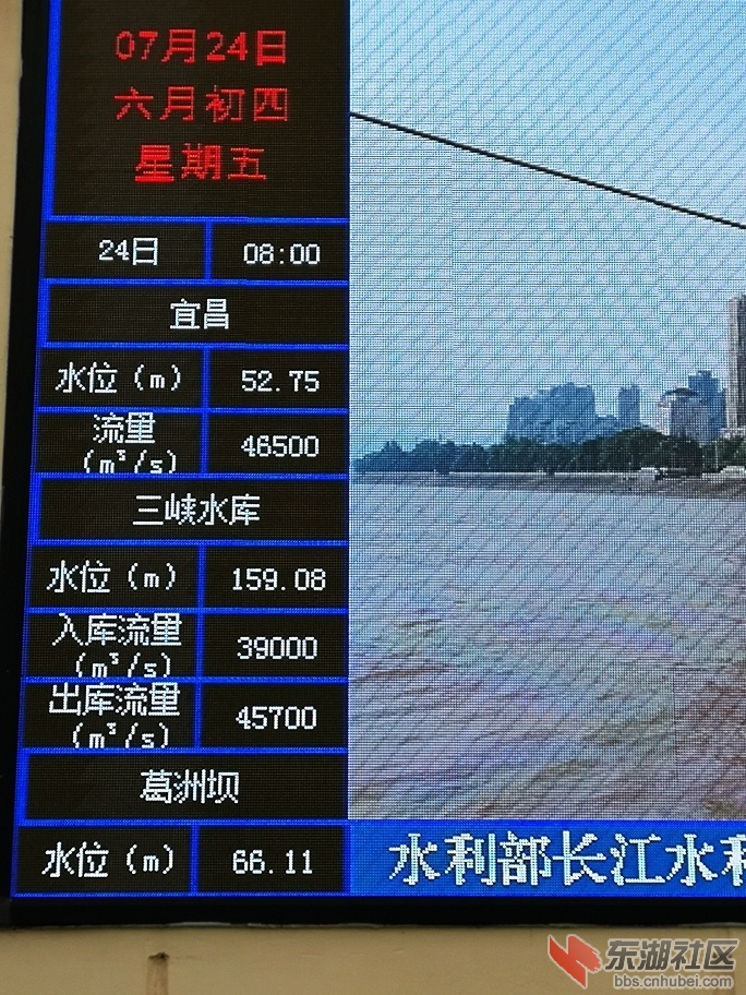 245.jpg