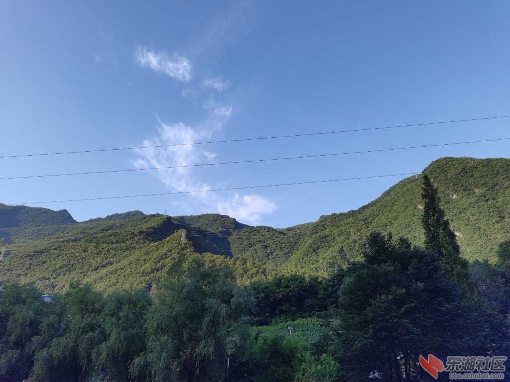 IMG_20200728_065715.jpg