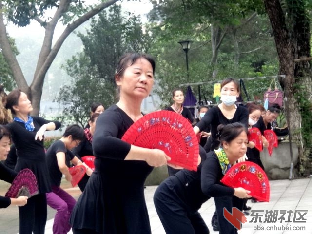2020年7月20日莲花湖老年女子舞蹈队 009.JPG