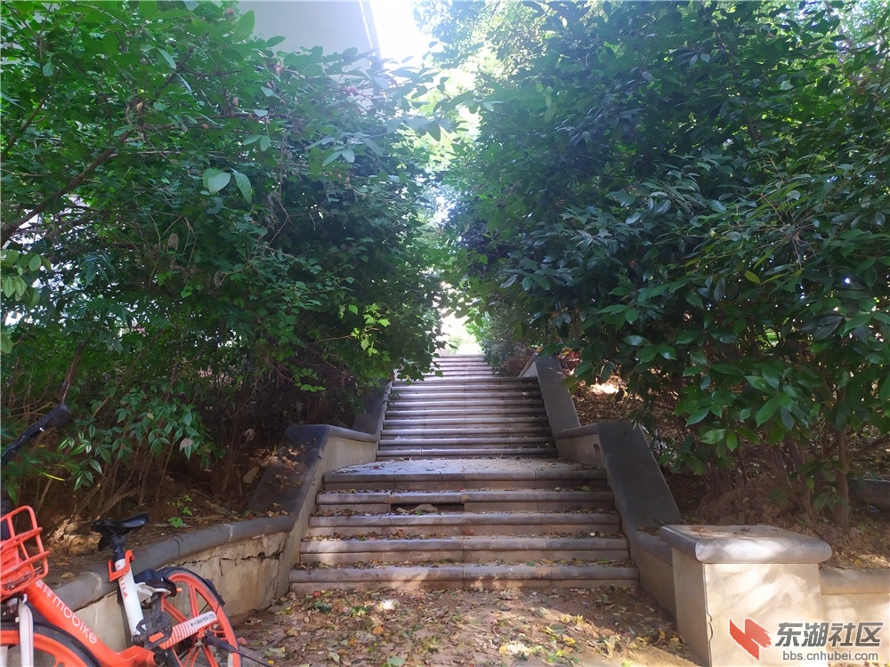 03.jpg
