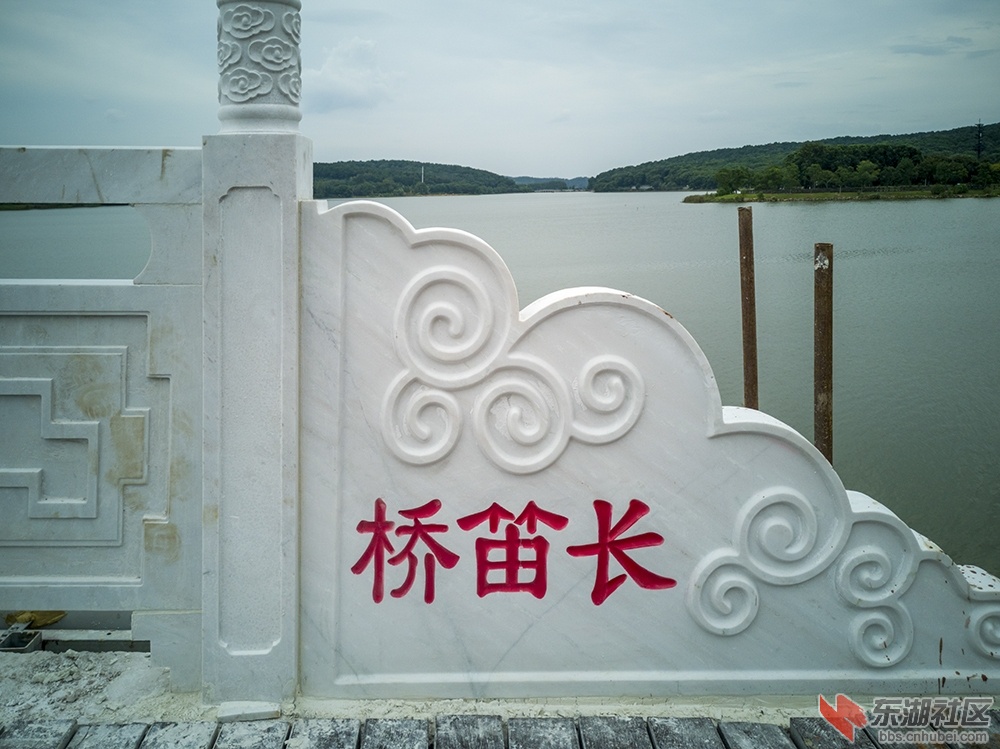 1.这样的提字，还是请武汉的书法家写好.jpg