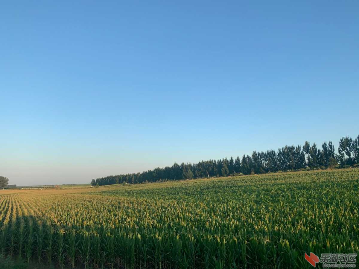 192cf51712d3914e.jpg