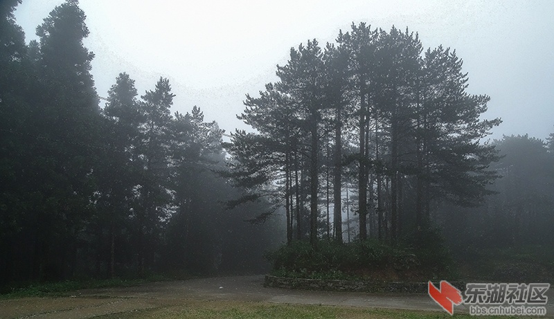 5    DSC01937_副本.jpg