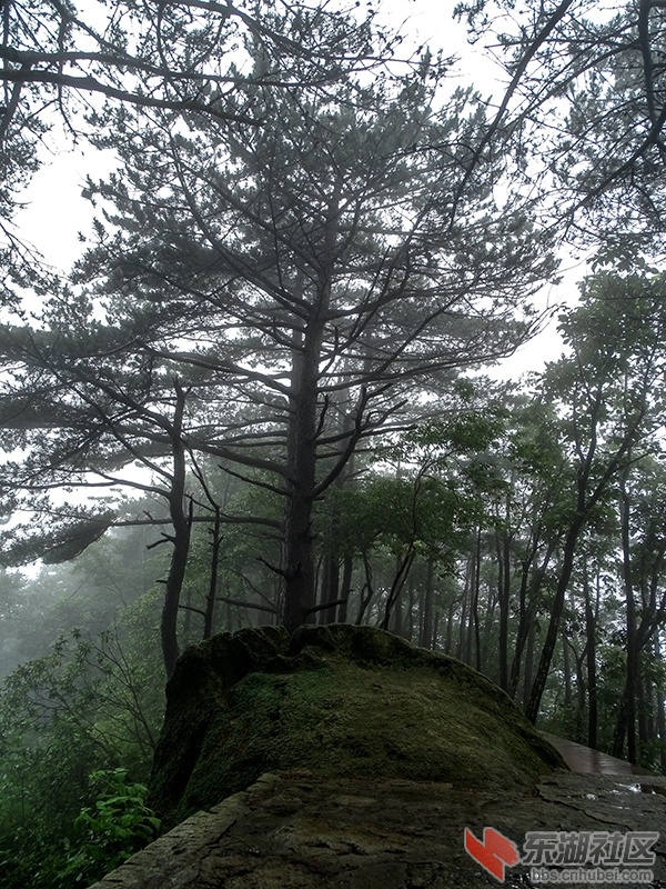 6     DSC01964_副本.jpg