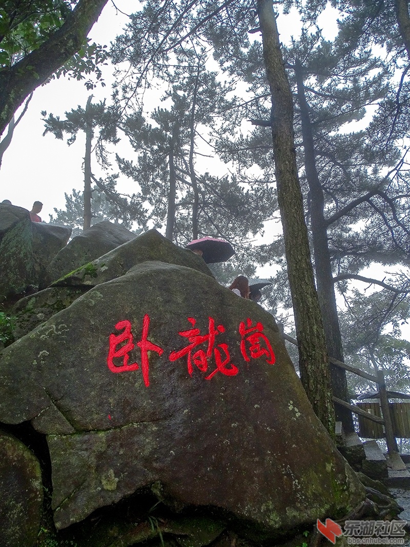 12   DSC01955  副本.jpg