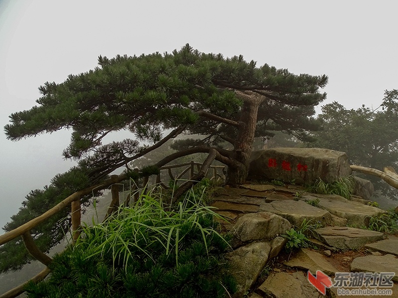14    DSC01972_副本.jpg