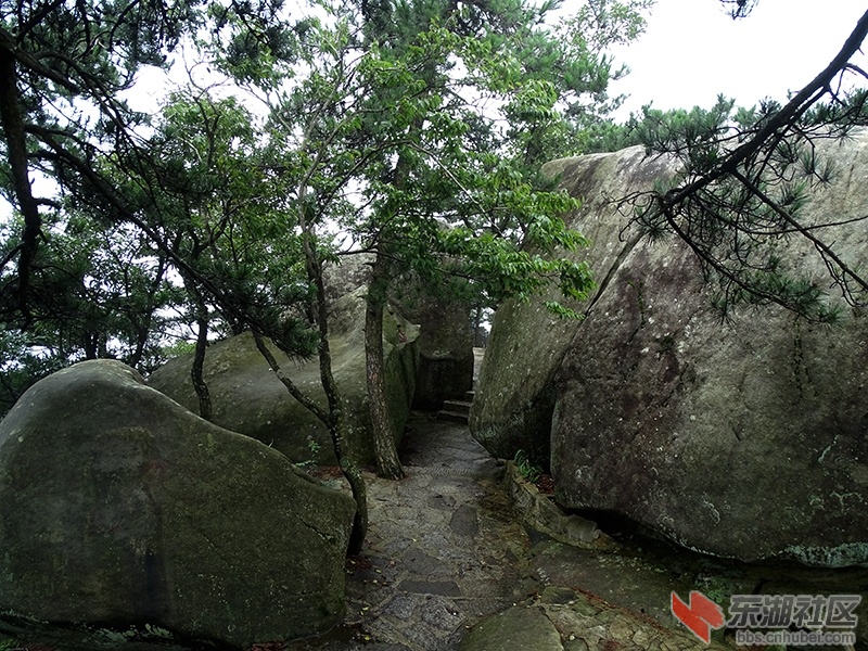 16     DSC01992_副本.jpg