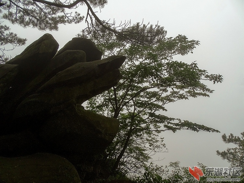 19     DSC01952_副本.jpg