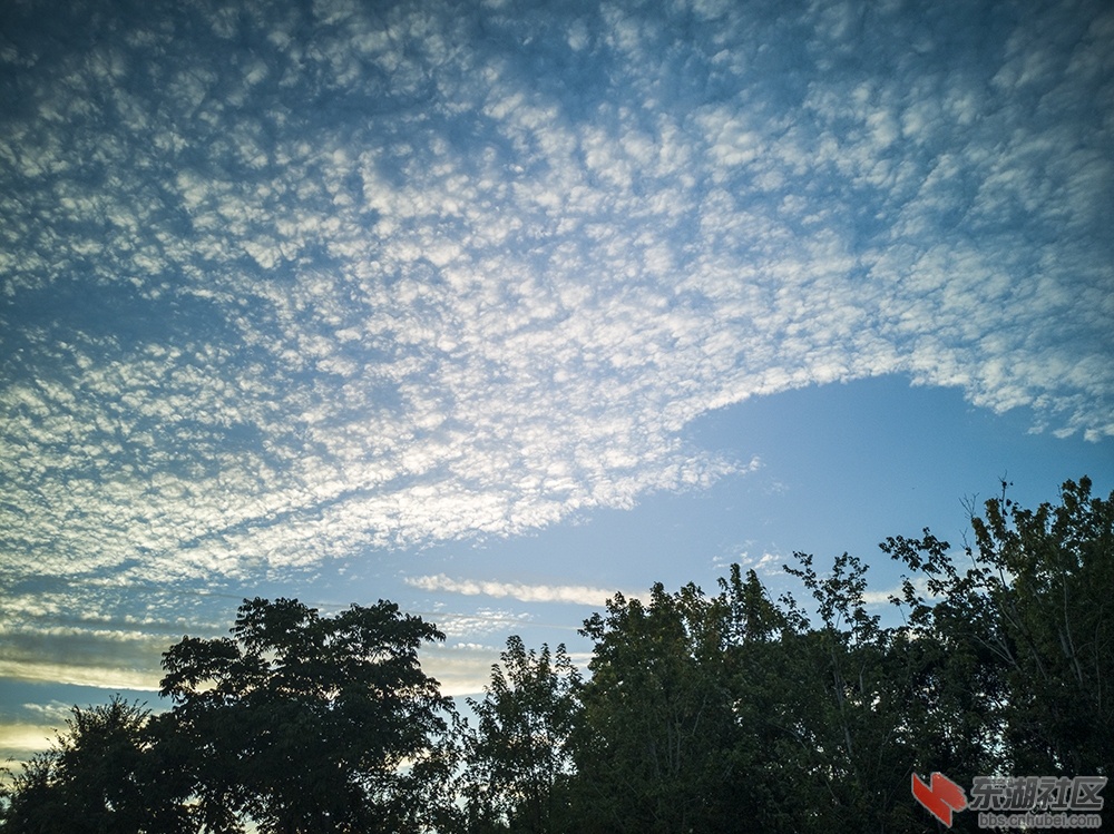 9.武汉东湖上空的鱼鳞云曾院平摄影.jpg